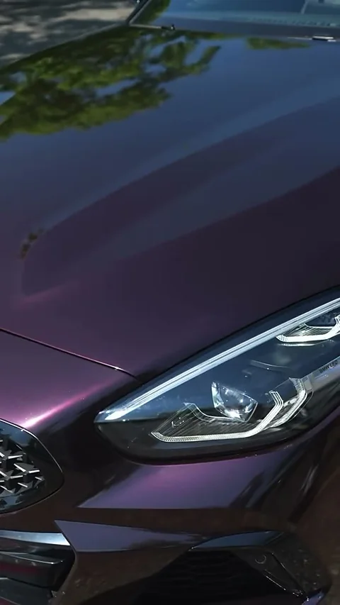 BMW Z4, Folierung von WrapBro's